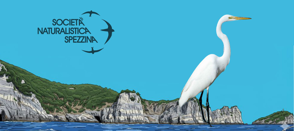 Società Naturalistica Spezzina Società Naturalistica Spezzina