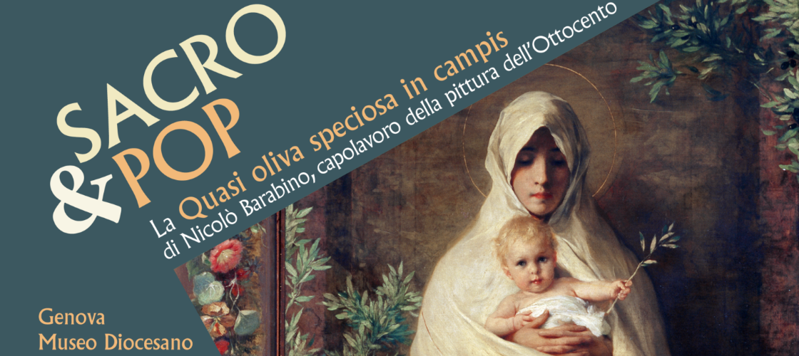 Oliva speciosa Oliva speciosa